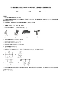 江苏省扬州市大丰区2023-2024学年九上物理期末检测模拟试题含答案