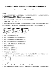 江苏省泰州市常青藤学校2023-2024学年九年级物理第一学期期末调研试题含答案