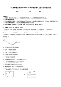 江苏省泰州白马中学2023-2024学年物理九上期末达标测试试题含答案