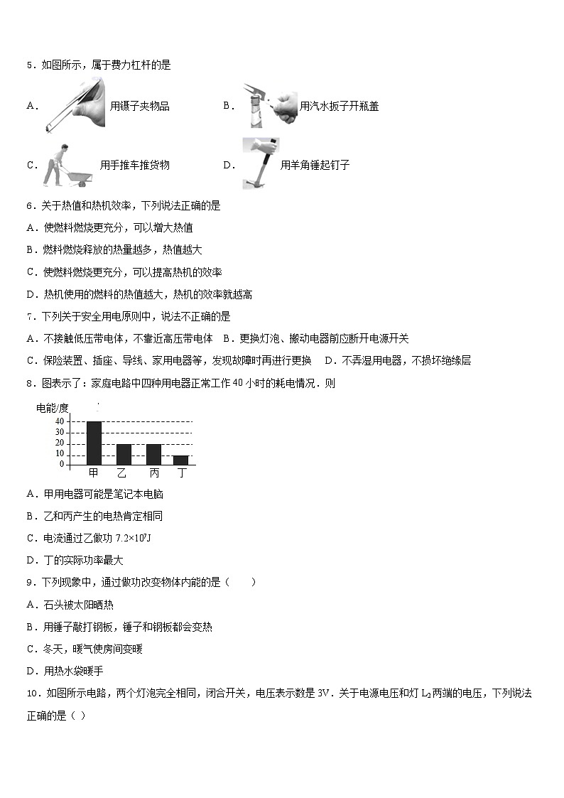 江苏省泰州市海陵区2023-2024学年物理九年级第一学期期末检测模拟试题含答案第2页