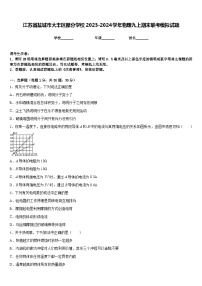 江苏省盐城市大丰区部分学校2023-2024学年物理九上期末联考模拟试题含答案