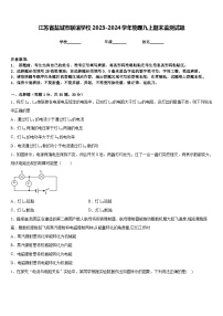 江苏省盐城市联谊学校2023-2024学年物理九上期末监测试题含答案