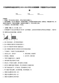 江苏省泰州市高港实验学校2023-2024学年九年级物理第一学期期末学业水平测试试题含答案