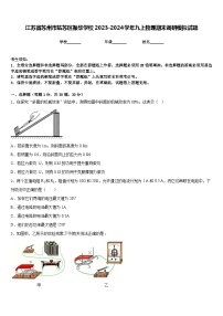 江苏省苏州市姑苏区振华学校2023-2024学年九上物理期末调研模拟试题含答案