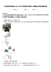 江苏省苏州市高新区2023-2024学年物理九年级第一学期期末达标检测模拟试题含答案