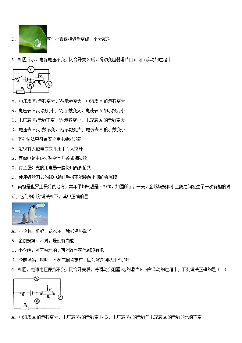 江苏省苏州市工业园区斜塘学校2023-2024学年九上物理期末监测模拟试题含答案第2页