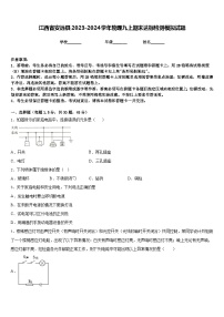 江西省安远县2023-2024学年物理九上期末达标检测模拟试题含答案