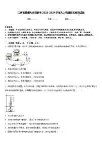 江西省赣州大余县联考2023-2024学年九上物理期末预测试题含答案