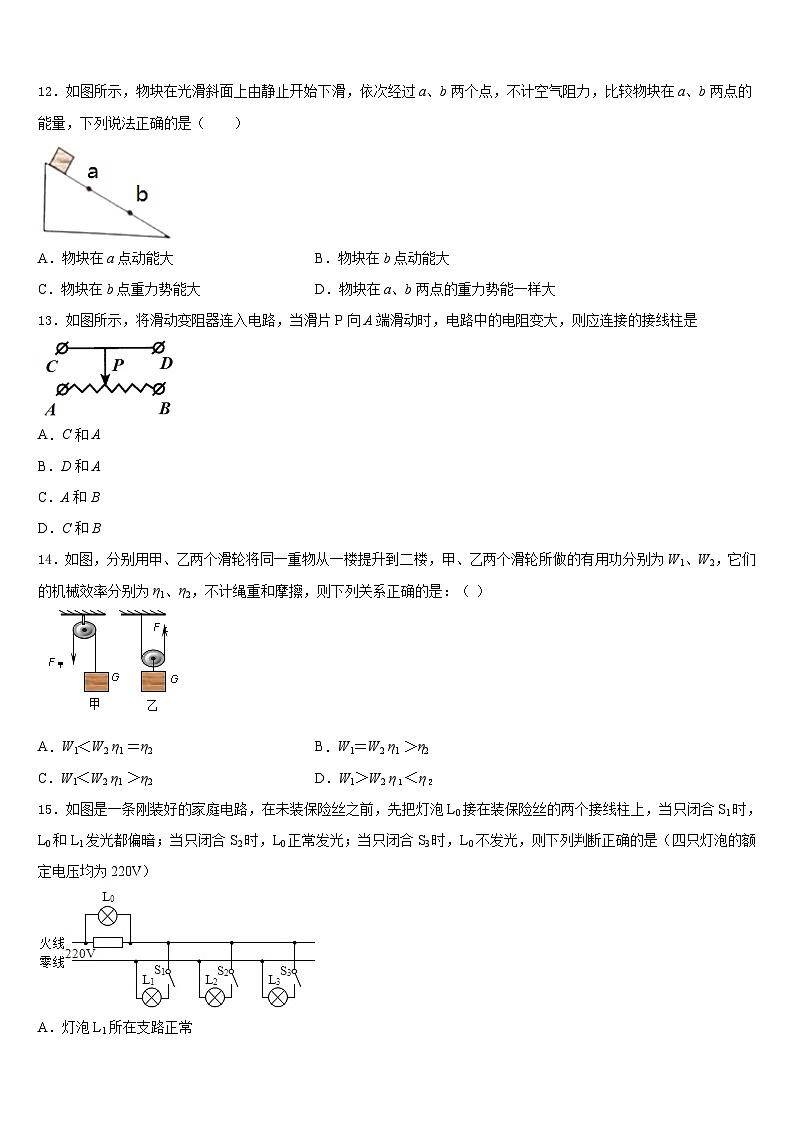 江西省贵溪市2023-2024学年九年级物理第一学期期末达标检测试题含答案第3页