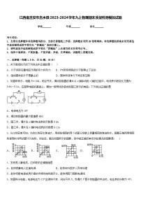 江西省吉安市吉水县2023-2024学年九上物理期末质量检测模拟试题含答案