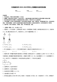 江西省新余市2023-2024学年九上物理期末达标检测试题含答案