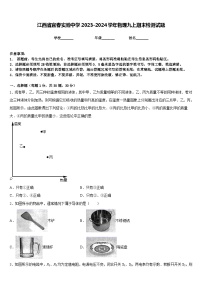 江西省宜春实验中学2023-2024学年物理九上期末检测试题含答案