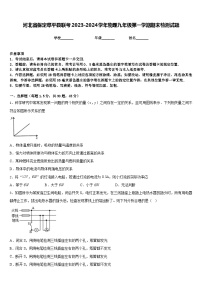 河北省保定阜平县联考2023-2024学年物理九年级第一学期期末检测试题含答案