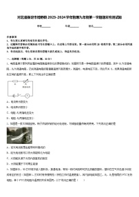 河北省保定市博野县2023-2024学年物理九年级第一学期期末检测试题含答案