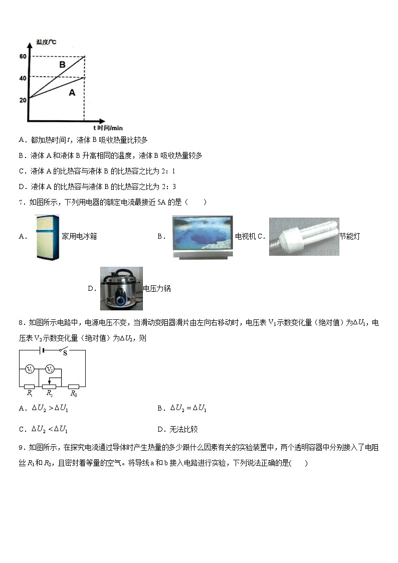 河北省保定市莲池区十三中学2023-2024学年物理九上期末达标检测模拟试题含答案02