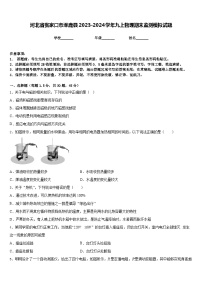 河北省张家口市涿鹿县2023-2024学年九上物理期末监测模拟试题含答案