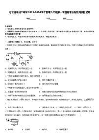 河北省涿州三中学2023-2024学年物理九年级第一学期期末达标检测模拟试题含答案