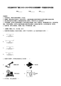 河北省廊坊市广阳区2023-2024学年九年级物理第一学期期末统考试题含答案