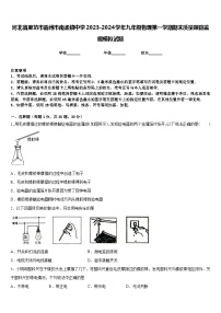 河北省廊坊市霸州市南孟镇中学2023-2024学年九年级物理第一学期期末质量跟踪监视模拟试题含答案