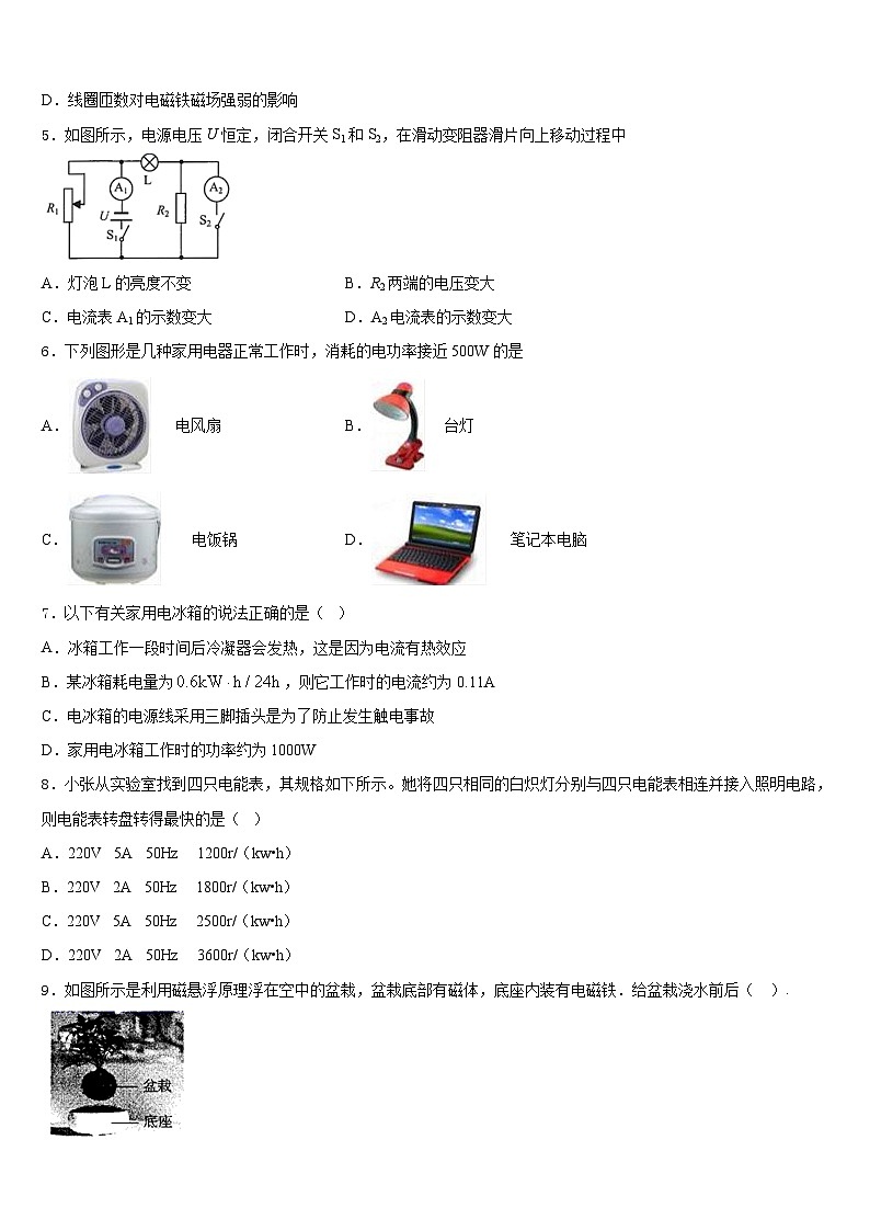 河北省广宗县2023-2024学年九年级物理第一学期期末质量跟踪监视模拟试题含答案02