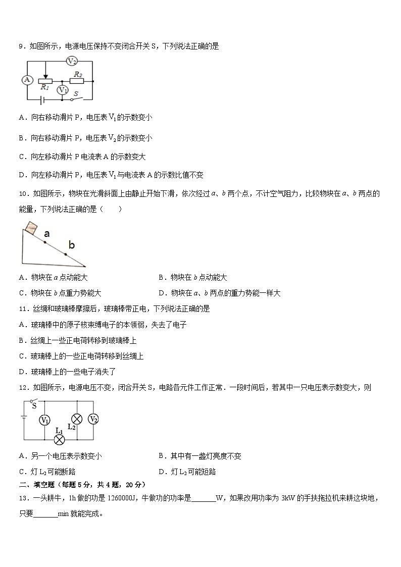 河北省临西县2023-2024学年物理九上期末复习检测模拟试题含答案03