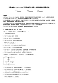 河北省衡水2023-2024学年物理九年级第一学期期末调研模拟试题含答案