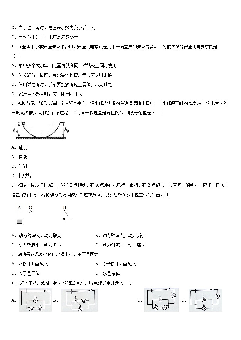河北省秦皇岛青龙县联考2023-2024学年物理九年级第一学期期末调研试题含答案第3页