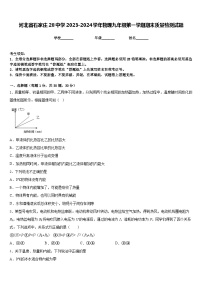 河北省石家庄28中学2023-2024学年物理九年级第一学期期末质量检测试题含答案