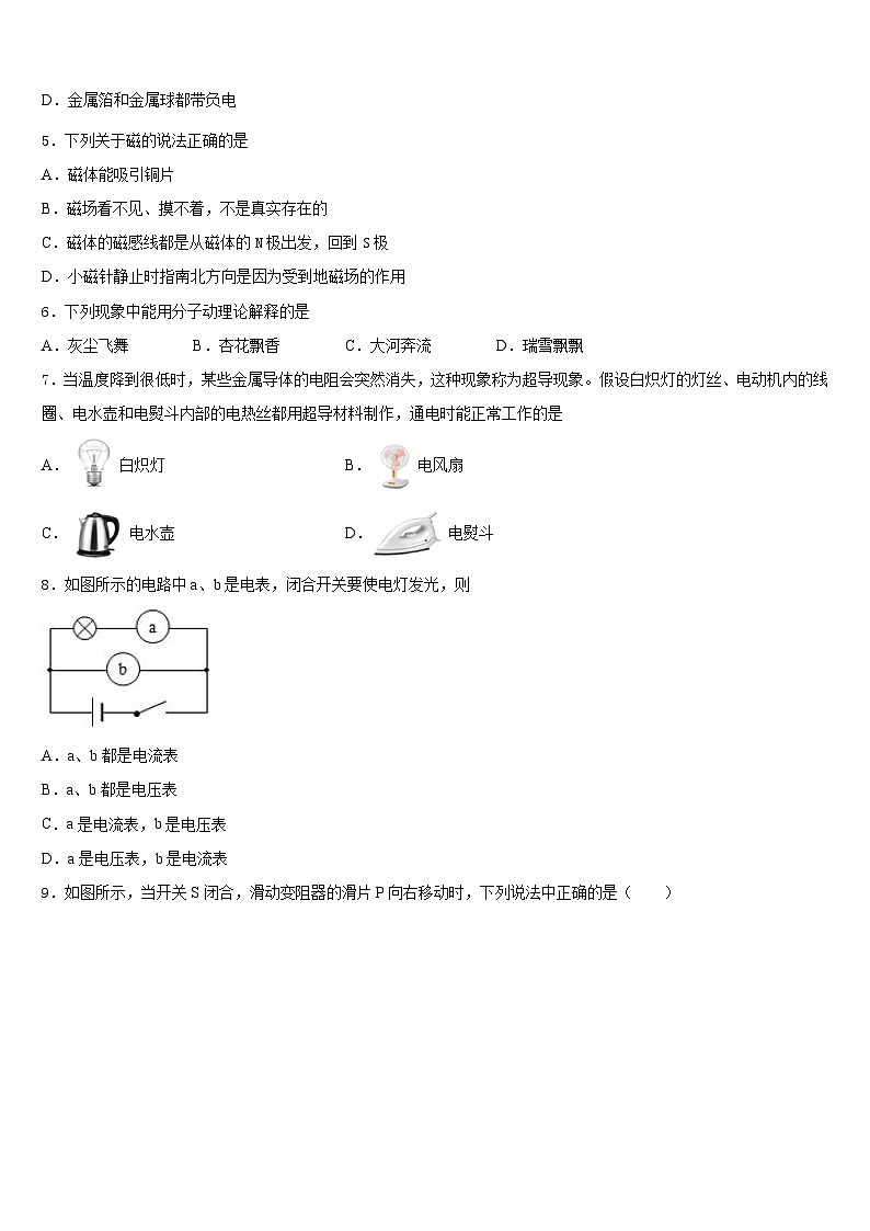 河北省石家庄市四十中学2023-2024学年物理九年级第一学期期末质量检测模拟试题含答案02