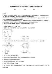 河南洛阳伊川2023-2024学年九上物理期末复习检测试题含答案