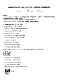 河南省南阳市唐河县2023-2024学年九上物理期末综合测试模拟试题含答案