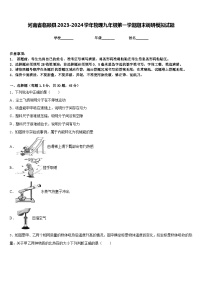 河南省临颍县2023-2024学年物理九年级第一学期期末调研模拟试题含答案