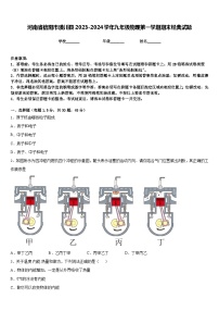 河南省信阳市潢川县2023-2024学年九年级物理第一学期期末经典试题含答案