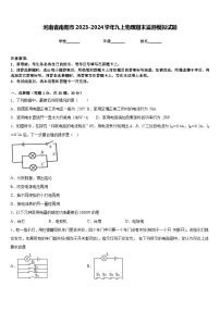 河南省南阳市2023-2024学年九上物理期末监测模拟试题含答案