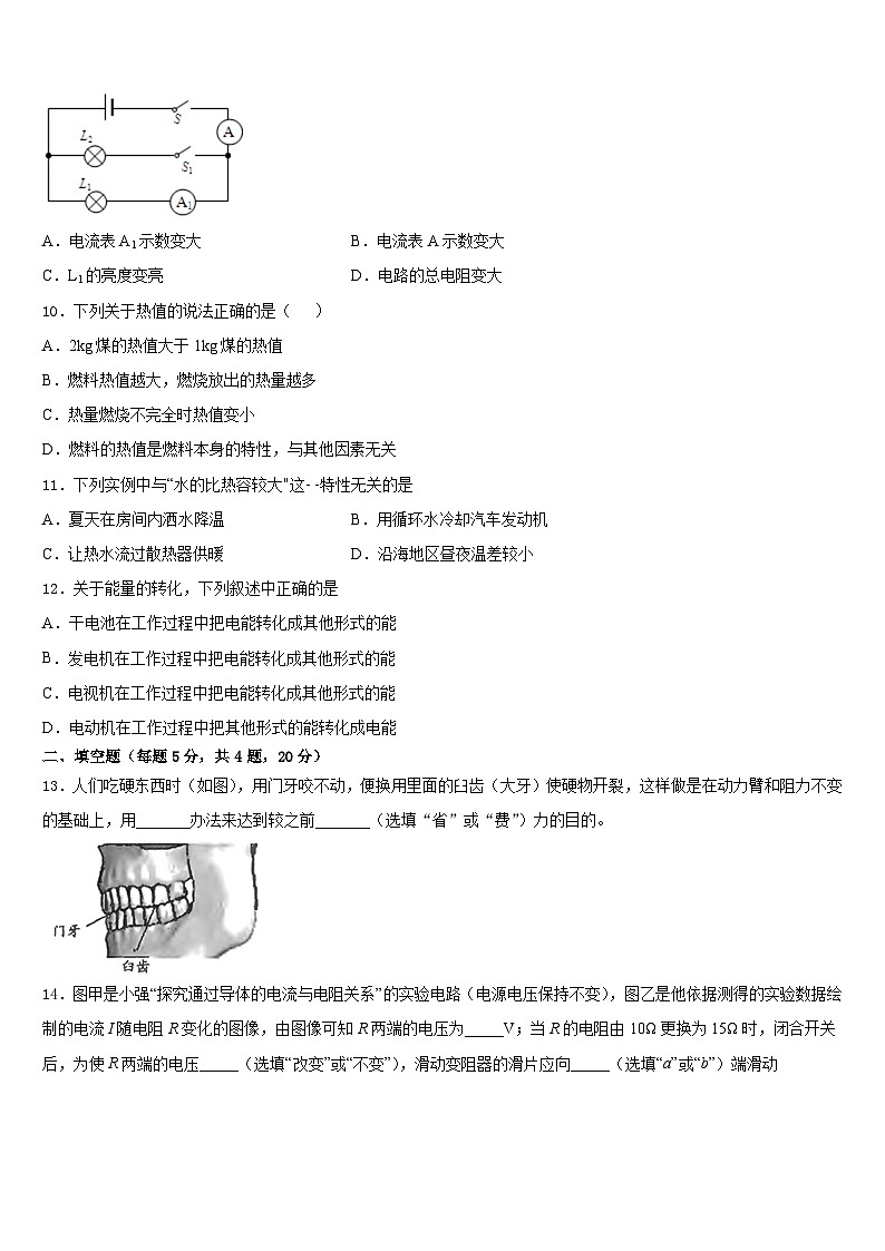河南师范大附属中学2023-2024学年九年级物理第一学期期末复习检测模拟试题含答案第3页