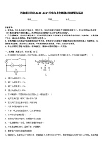 河南省扶沟县2023-2024学年九上物理期末调研模拟试题含答案