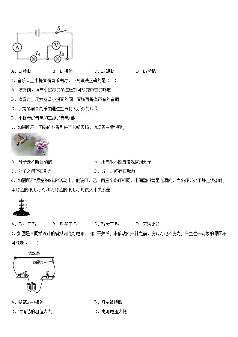 河南省漯河五中学2023-2024学年九上物理期末检测模拟试题含答案02