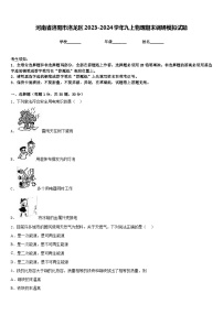 河南省洛阳市洛龙区2023-2024学年九上物理期末调研模拟试题含答案