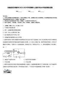 河南省宝丰县联考2023-2024学年物理九上期末学业水平测试模拟试题含答案