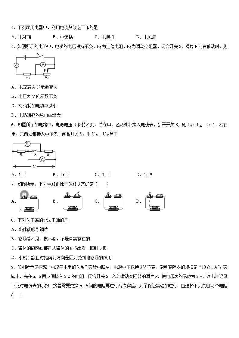 河池市重点中学2023-2024学年九年级物理第一学期期末复习检测试题含答案第2页