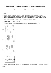 河南省郑州市第十七中学2023-2024学年九上物理期末质量跟踪监视试题含答案