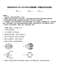 泉州市重点中学2023-2024学年九年级物理第一学期期末综合测试试题含答案