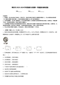 泰安市2023-2024学年物理九年级第一学期期末调研试题含答案