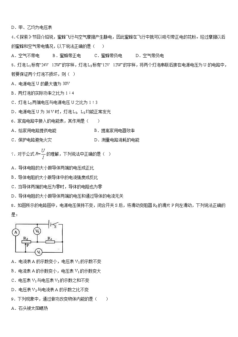 河南省驻马店市平舆县2023-2024学年物理九年级第一学期期末学业质量监测模拟试题含答案02
