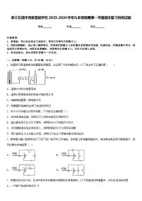 浙江乐清市育英寄宿学校2023-2024学年九年级物理第一学期期末复习检测试题含答案