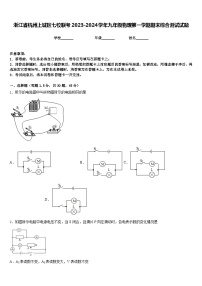 浙江省杭州上城区七校联考2023-2024学年九年级物理第一学期期末综合测试试题含答案