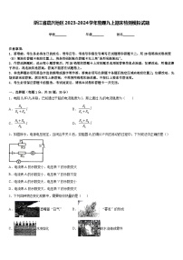 浙江省嘉兴地区2023-2024学年物理九上期末检测模拟试题含答案