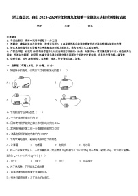 浙江省嘉兴、舟山2023-2024学年物理九年级第一学期期末达标检测模拟试题含答案