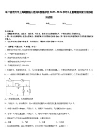 浙江省嘉兴市上海外国语大秀洲外国语学校2023-2024学年九上物理期末复习检测模拟试题含答案