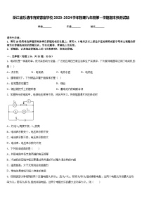 浙江省乐清市育英寄宿学校2023-2024学年物理九年级第一学期期末预测试题含答案